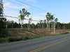 Lot Clearing