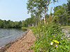 Recreation area beach in summer